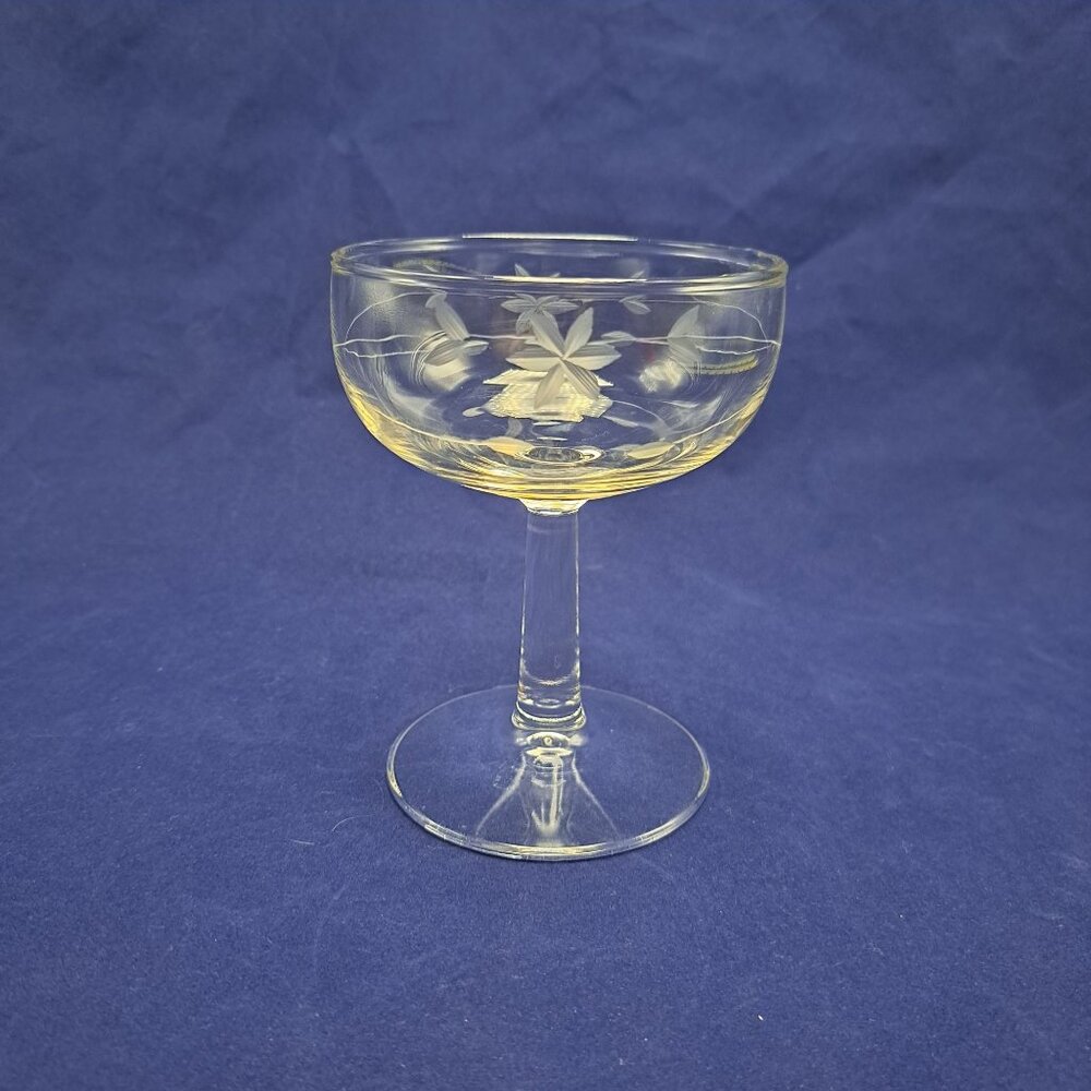 Vintage Etched Glass Javit Starflower Low Sherbet Champagne Coupe